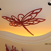 Picture 078